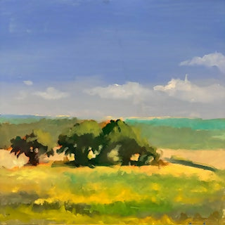Summer Study Oaks on the Prairie