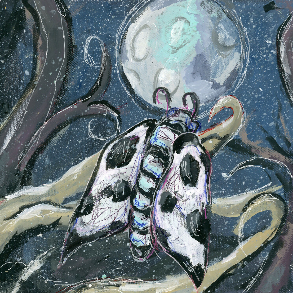 Moth 8x8 prints