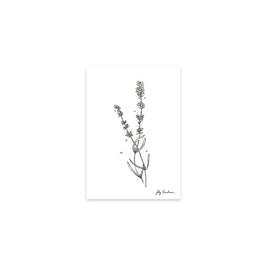 5”x7” Art Print, Lavender Pair