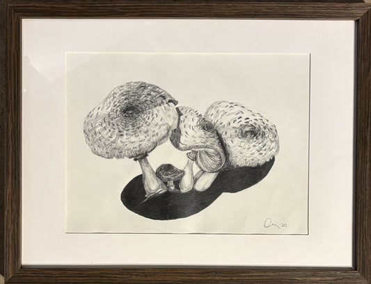 "Messages" framed original