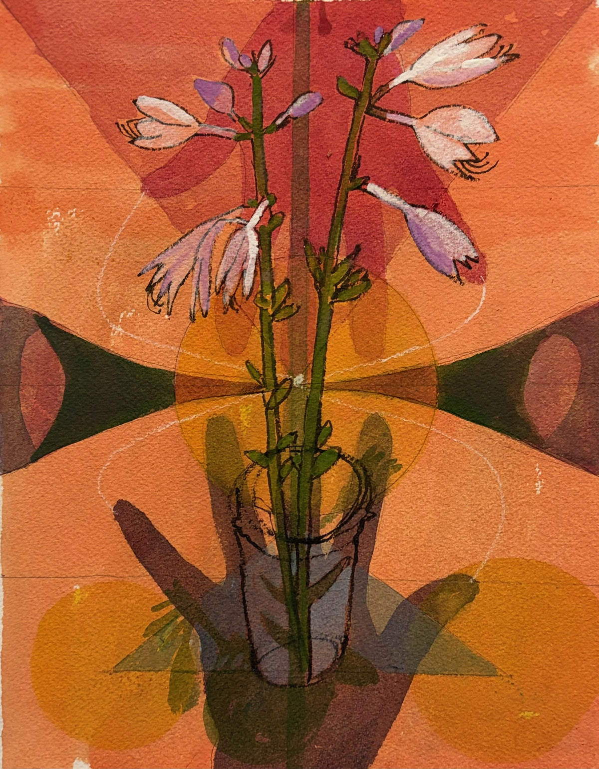 Hosta