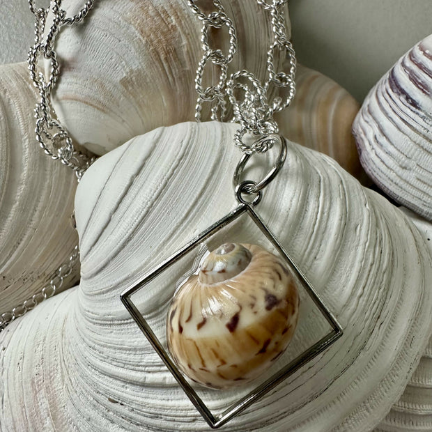 Gaudy Nautica Shell Pendant Necklace