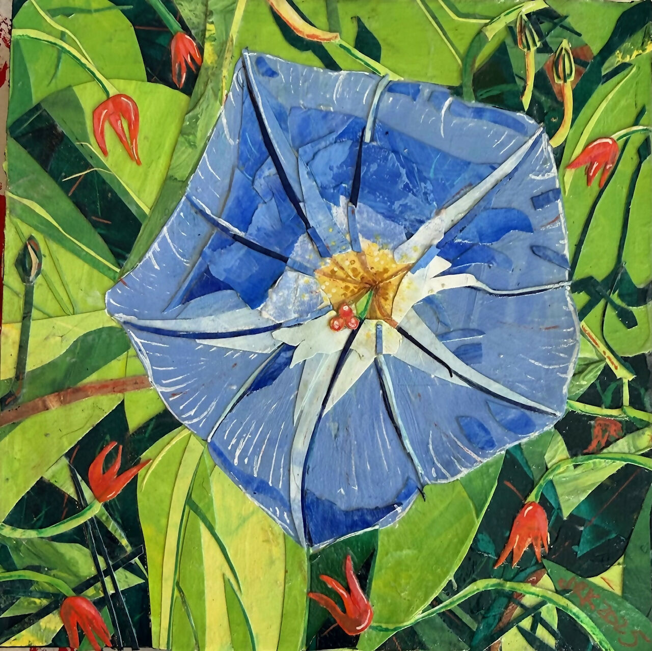 Morning Glory 1