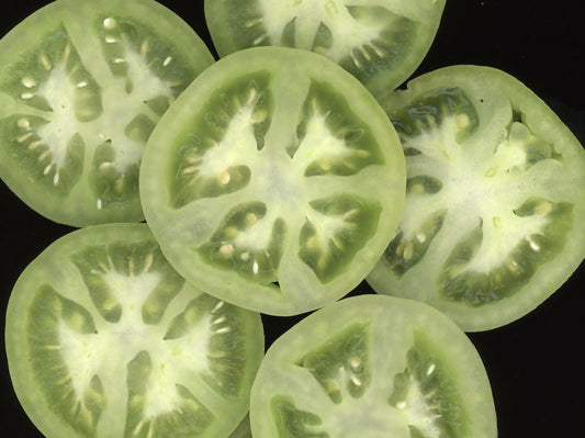 Green Tomatoes