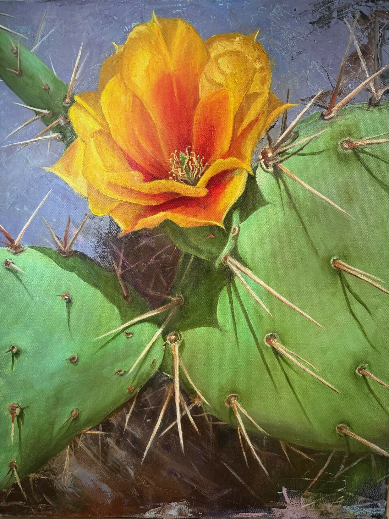 Prickly Pear in Bloom