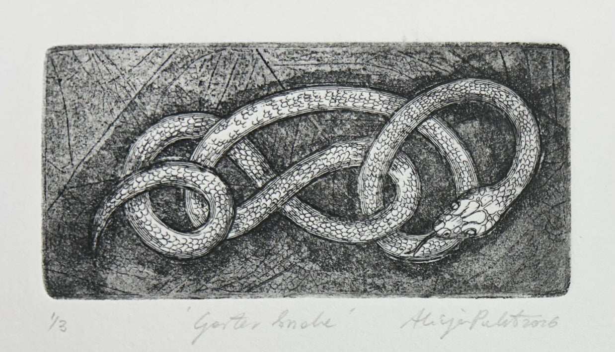 Garter Snake