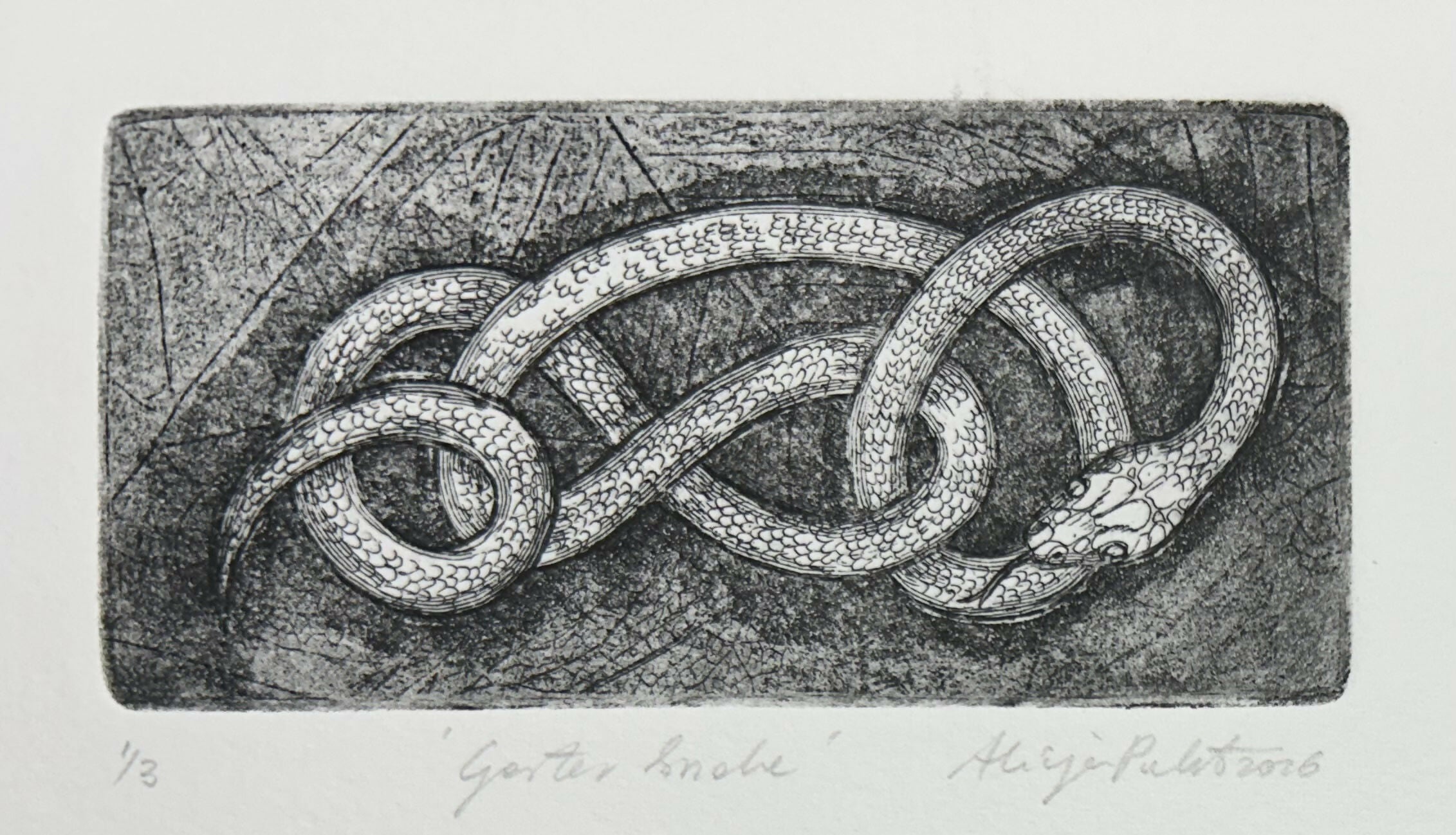 Garter Snake