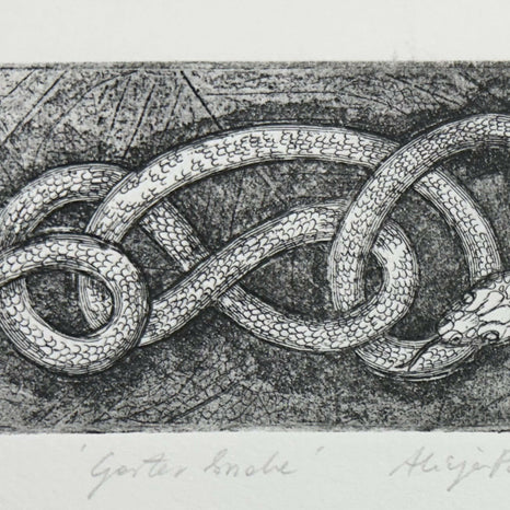 Garter Snake