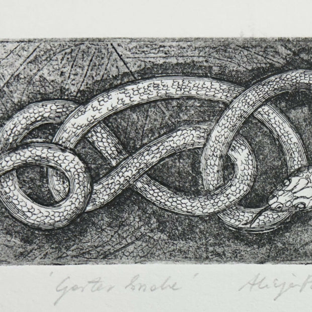 Garter Snake