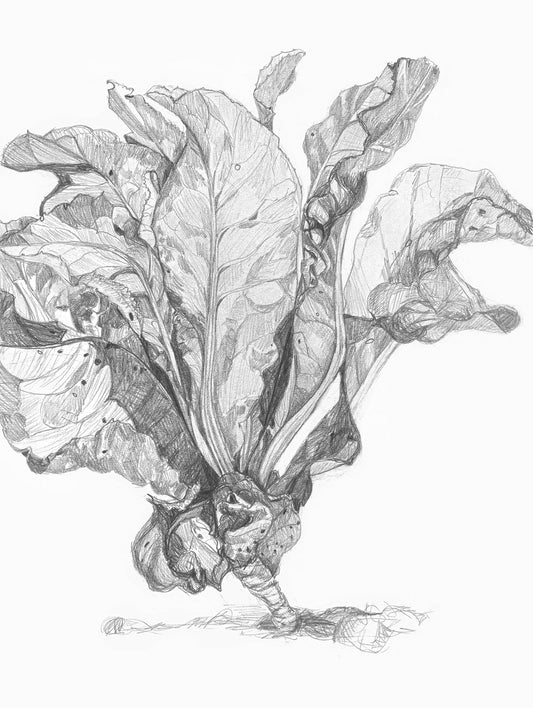 "Rising Up" framed print