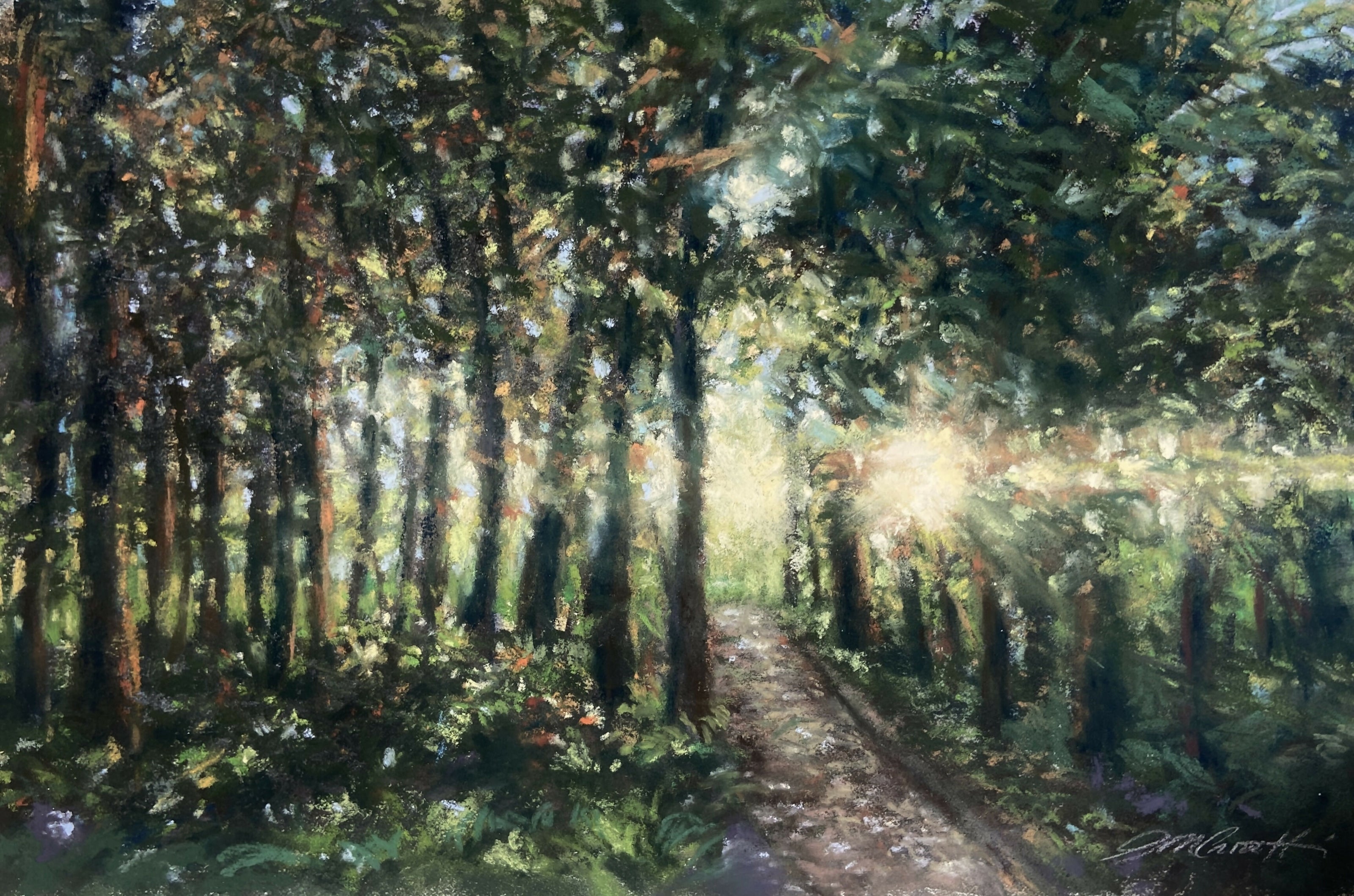 Out of The Woods