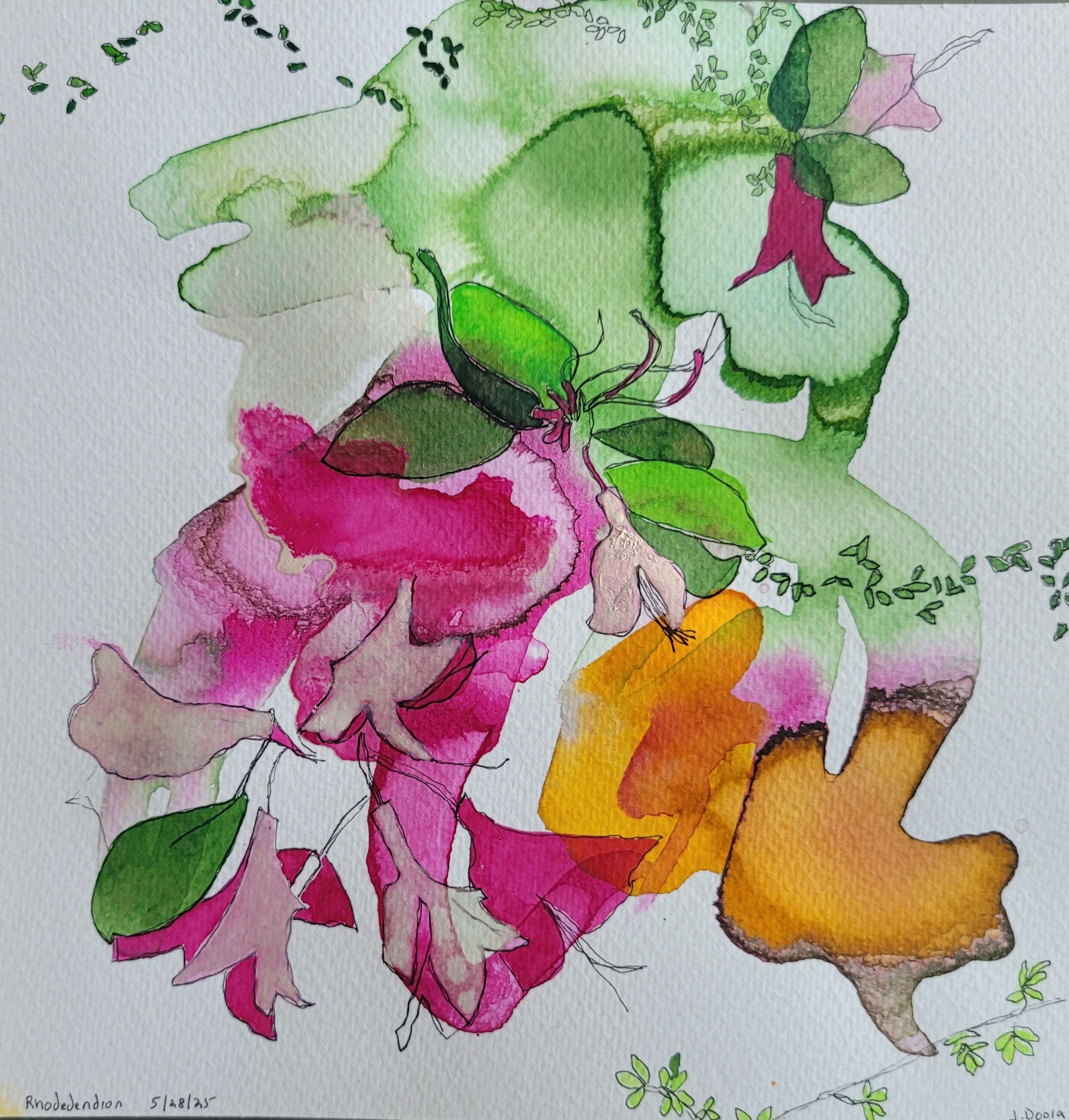 Rhododendron