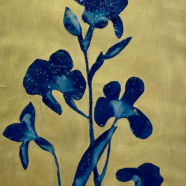Golden Iris