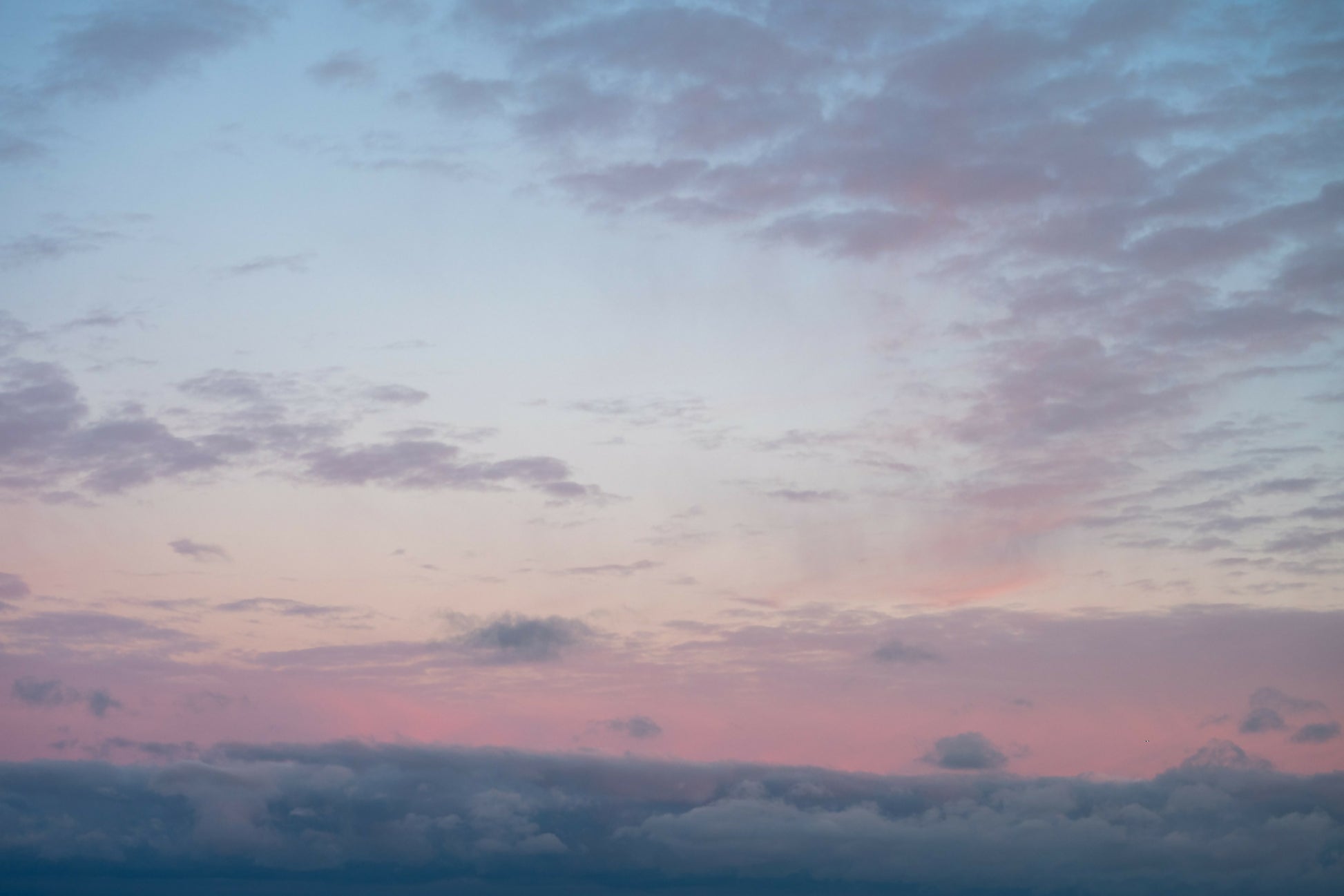 AVZ_0341