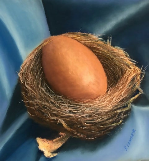 Egg in the nest