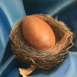 Egg in the nest