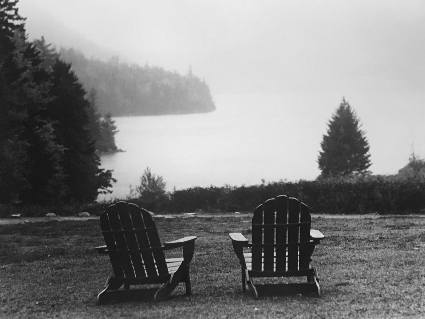 Acadia National Park #1