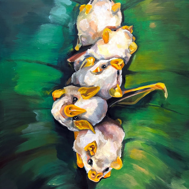 Honduran White Bats