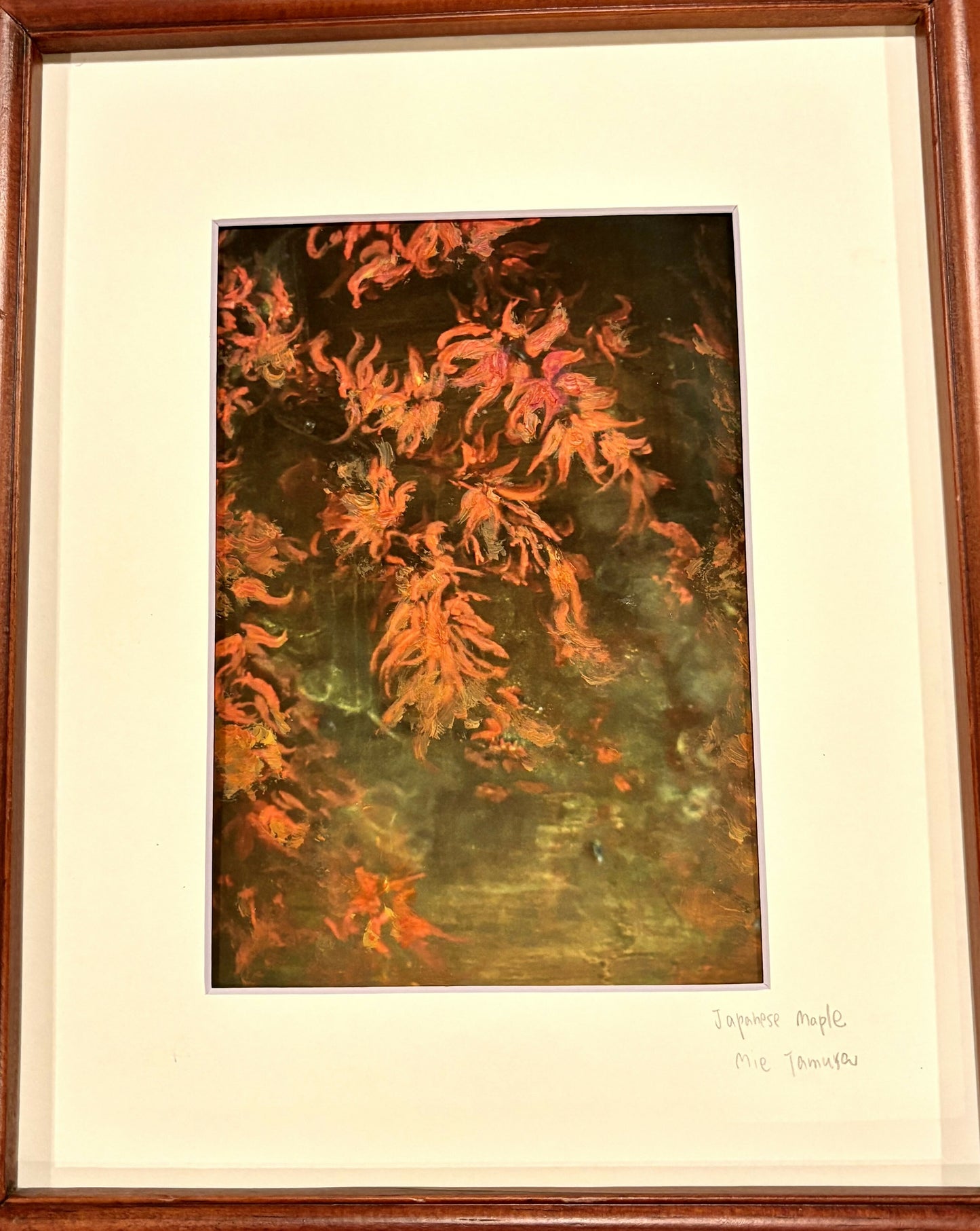 Japanese Maple ( in 8 x 10 frame)