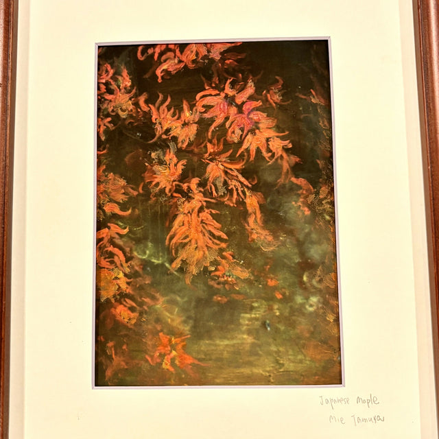 Japanese Maple ( in 8 x 10 frame)