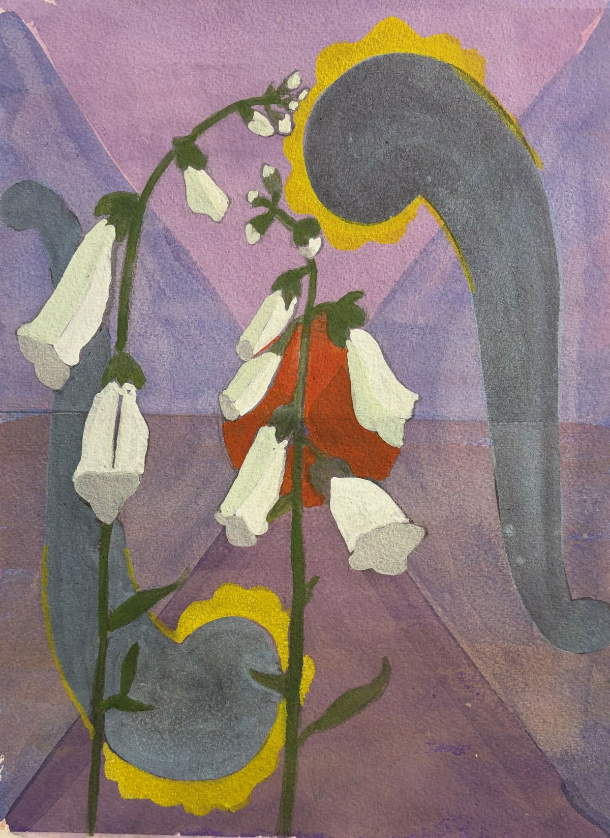 Foxglove
