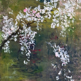 cherry blossom 