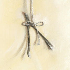 Forgotten Wishes