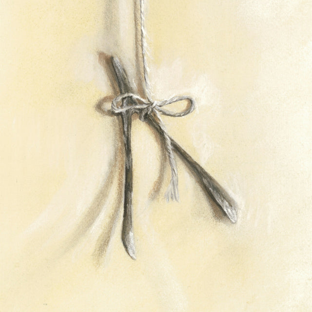 Forgotten Wishes