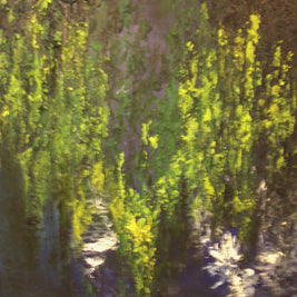 willowtree