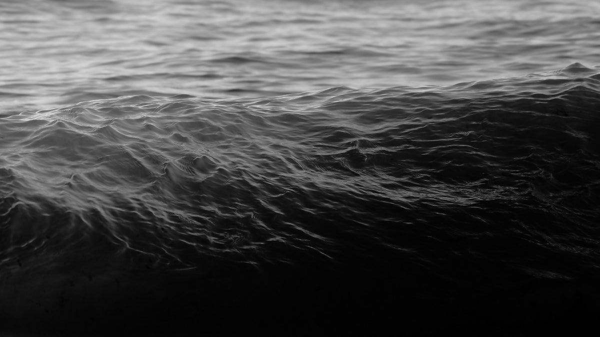 Swell (2025)
