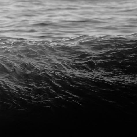 Swell (2025)