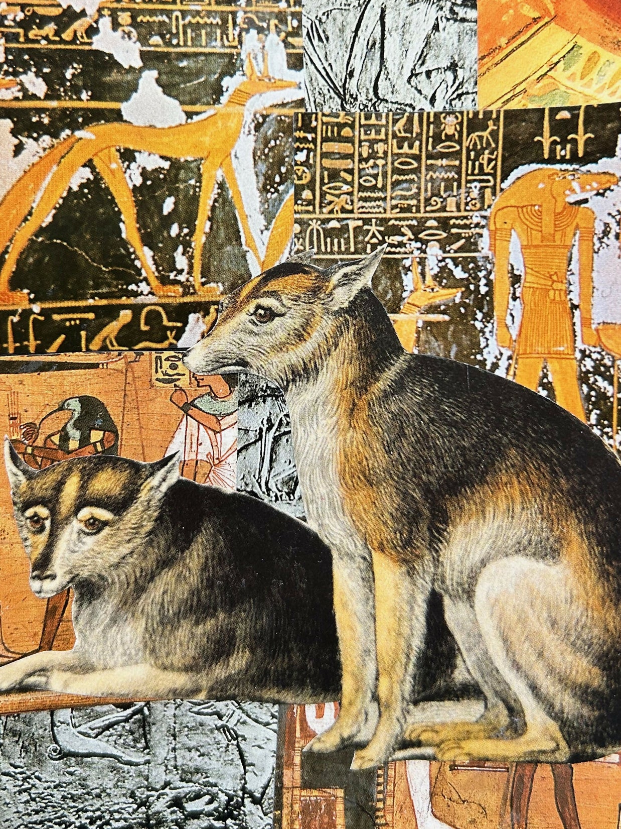 Dog Collage #1