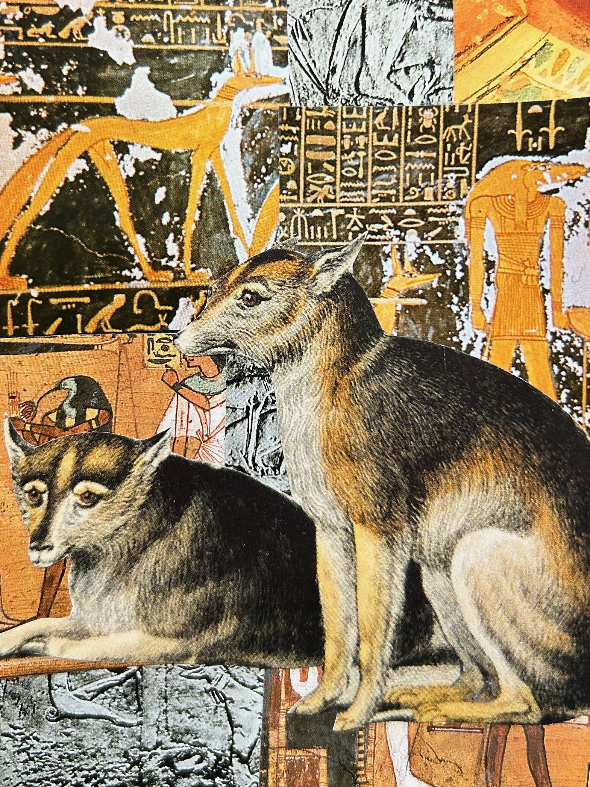 Dog Collage #1
