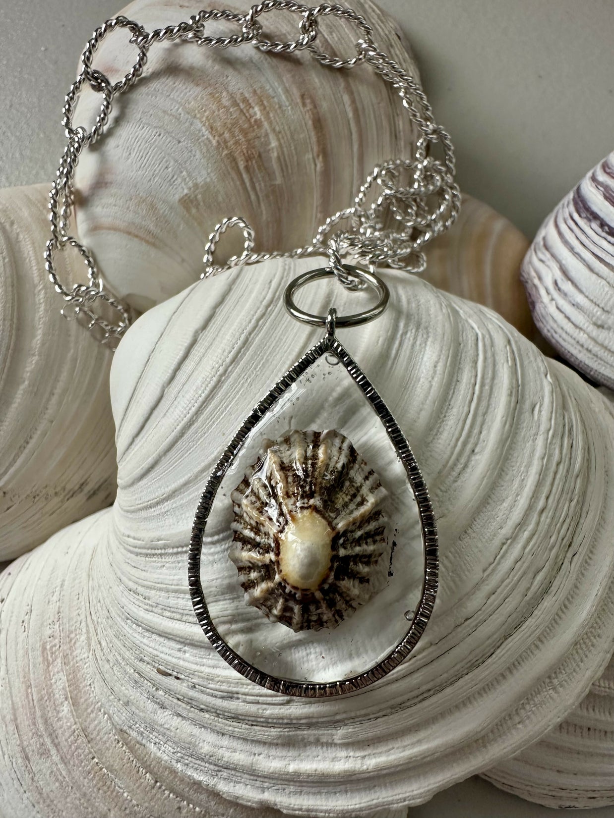 Limpet Shell (Scotland) Pendant Necklace