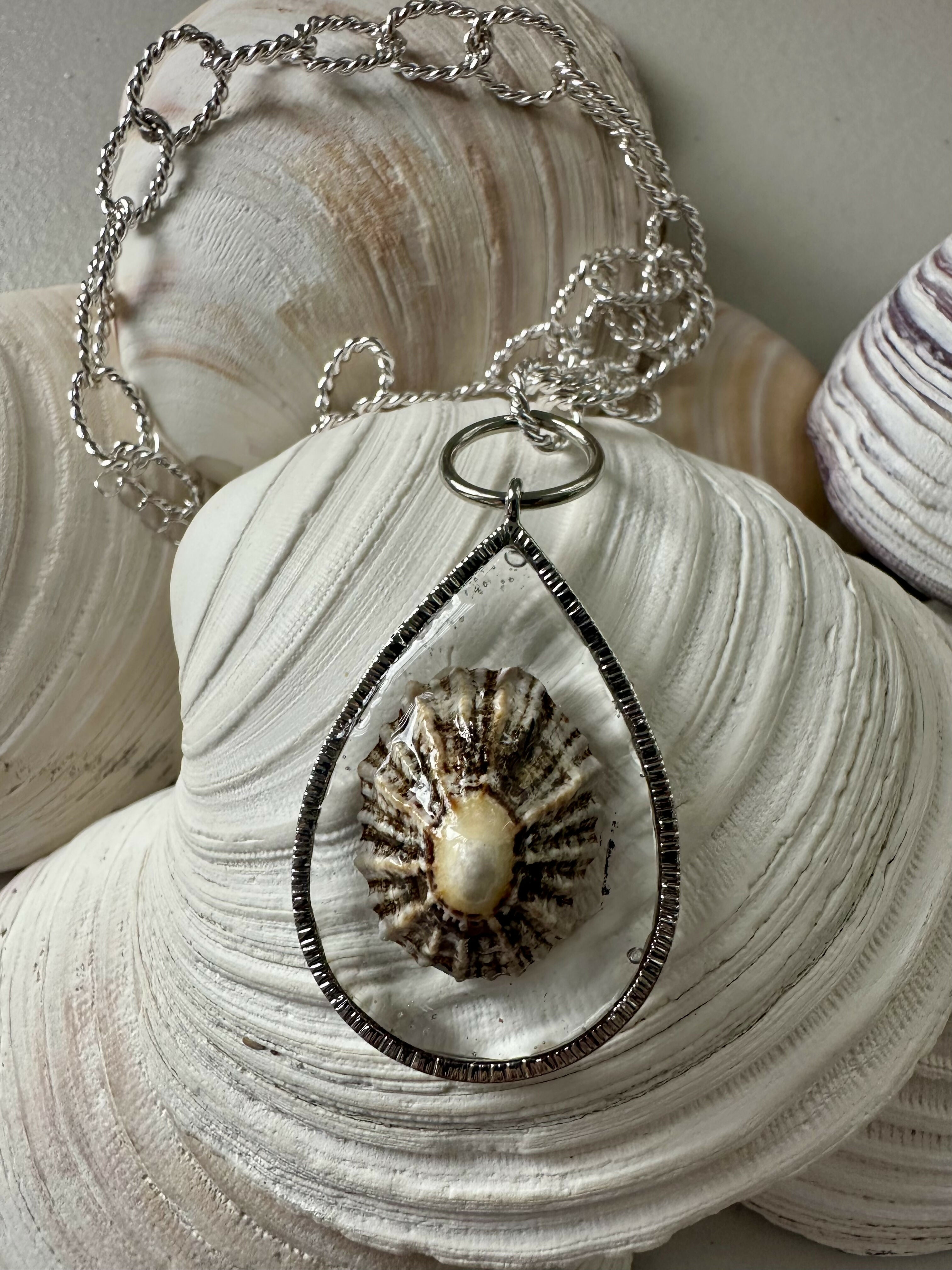Limpet Shell (Scotland) Pendant Necklace