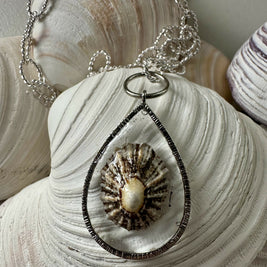 Limpet Shell (Scotland) Pendant Necklace