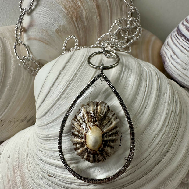 Limpet Shell (Scotland) Pendant Necklace