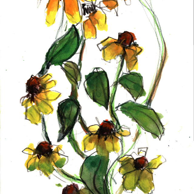 Black Eyed Susans Mixed Media Watercolor