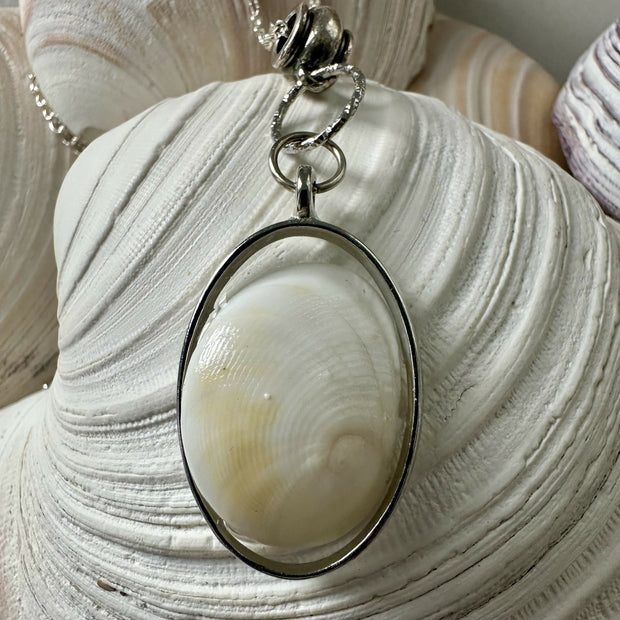 Baby Ear Shell Pendant Necklace