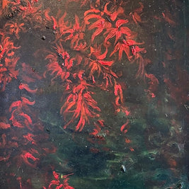Momiji 