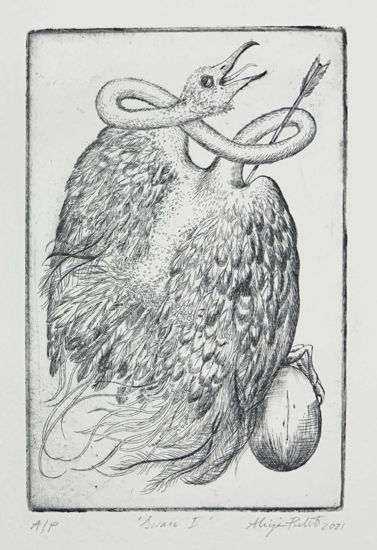 Swan I