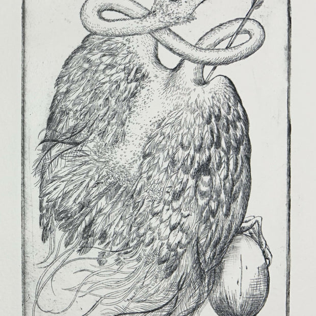 Swan I