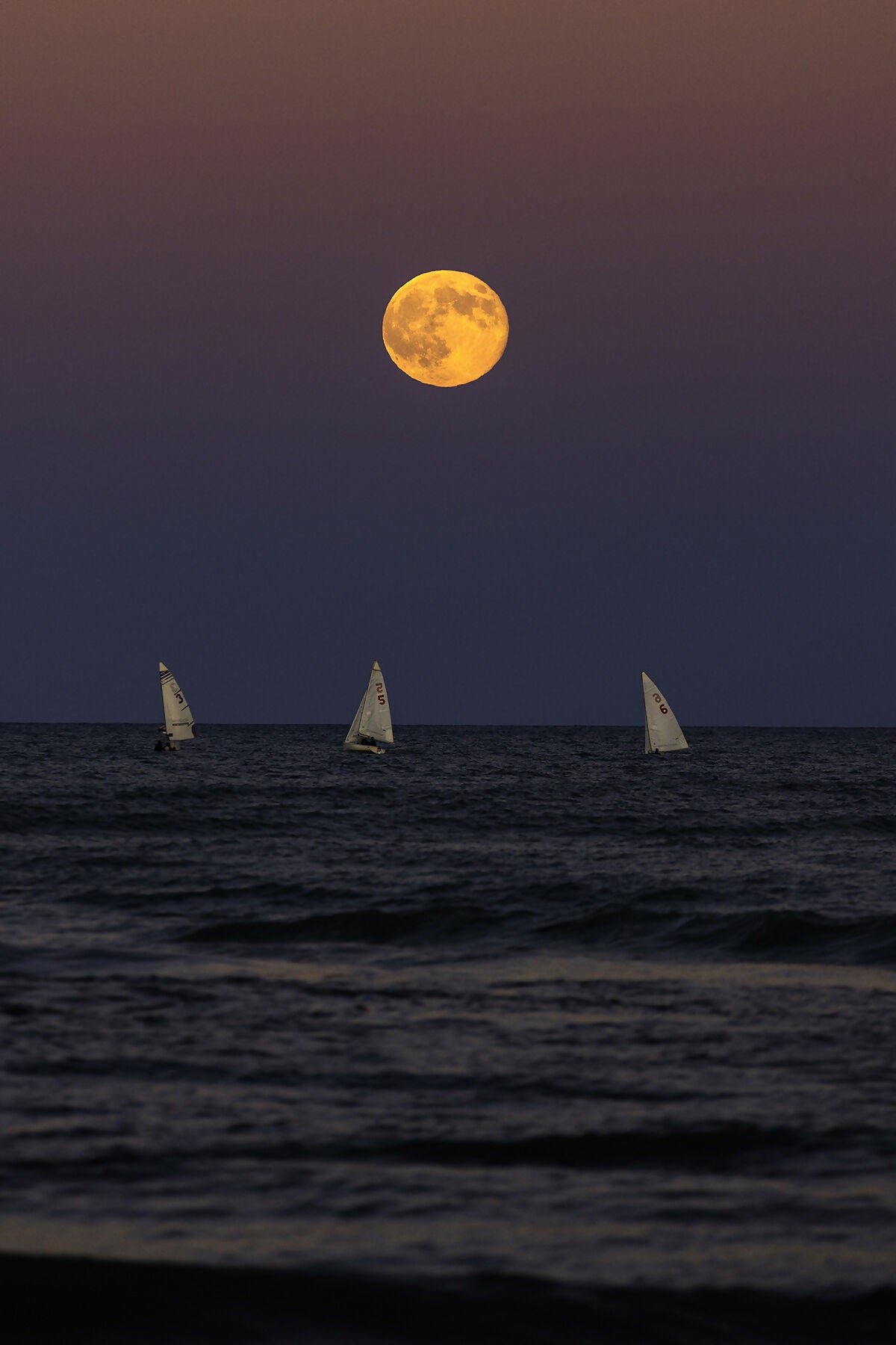 Moon Chasers