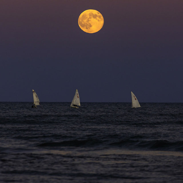 Moon Chasers