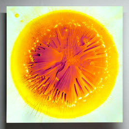 Shattered Sun #2