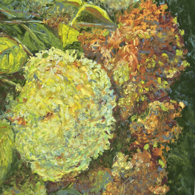 End of Season Hydrangeas