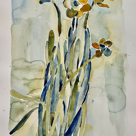 daffodils