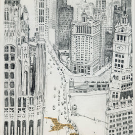 Chicago with Birds