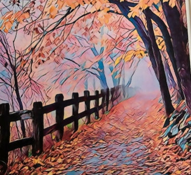 Forest Road
