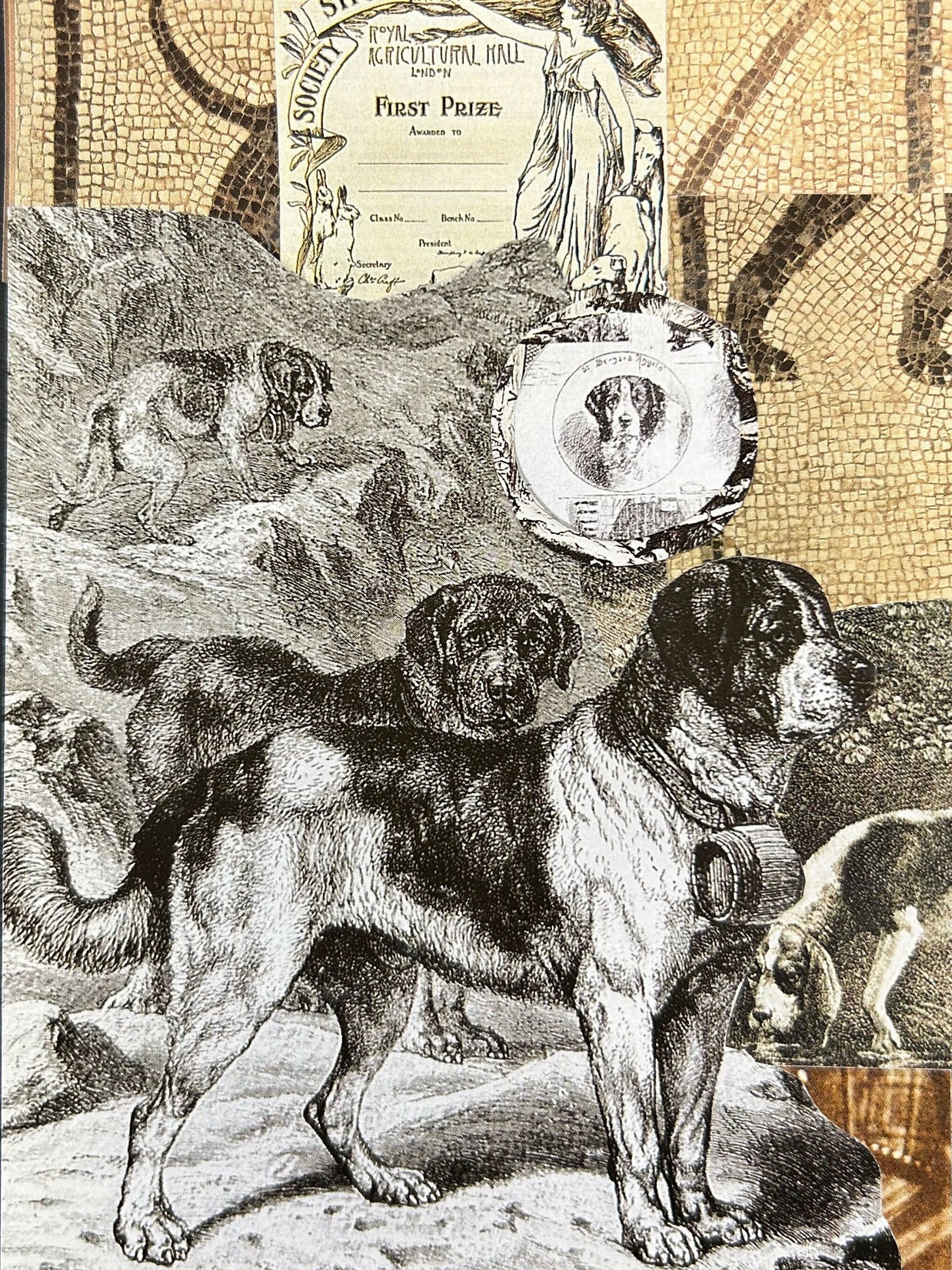 Dog Collage #2
